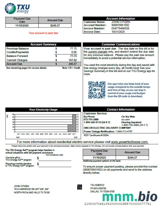 Szablon rachunku za media energetyczne USA TXU w formatach Word i PDF, Wersja 8
